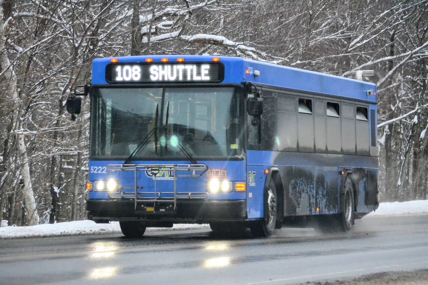 AAY 447, Gillig Low Floor 