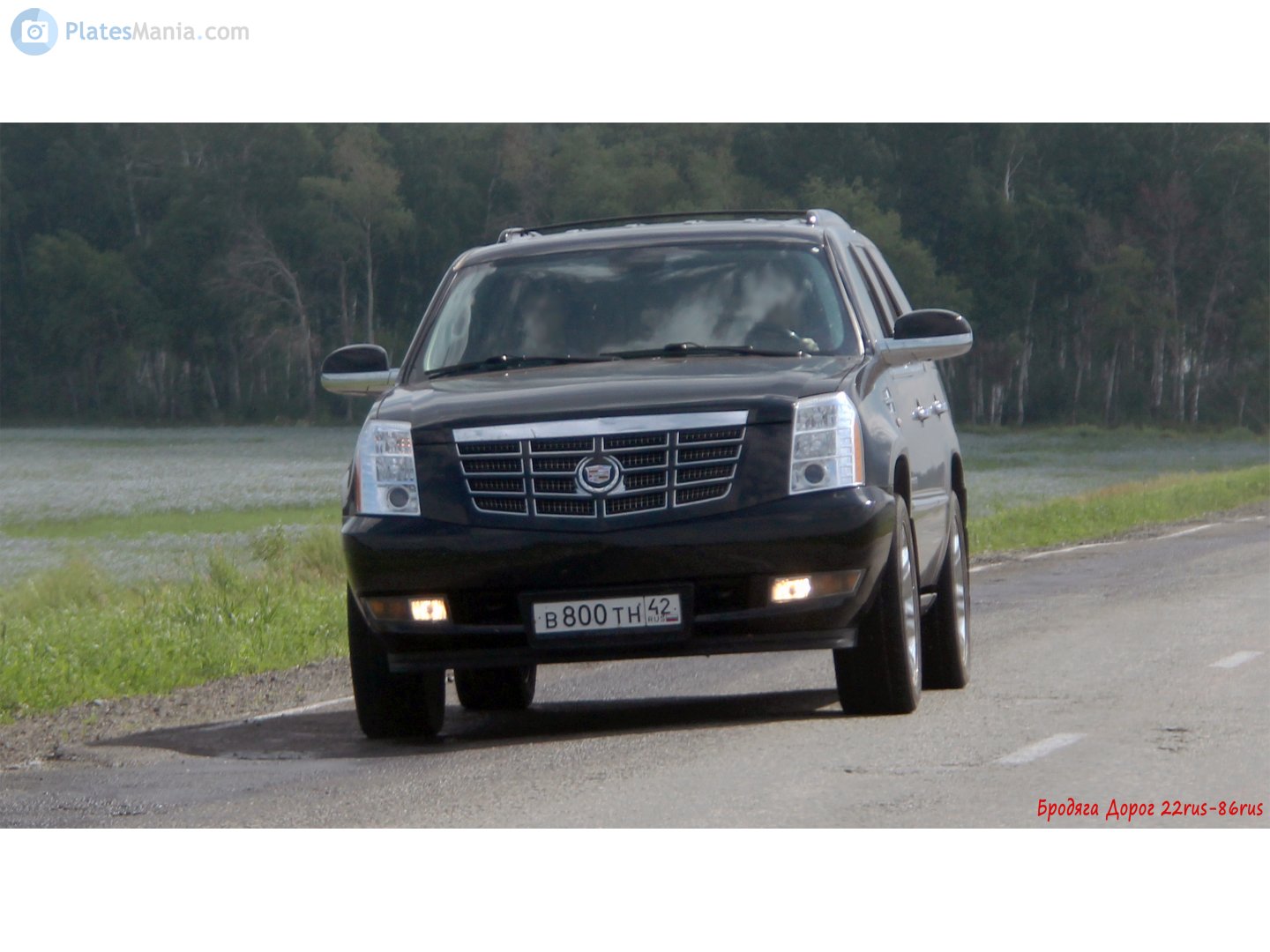 в 800 тн 42, Cadillac Escalade 