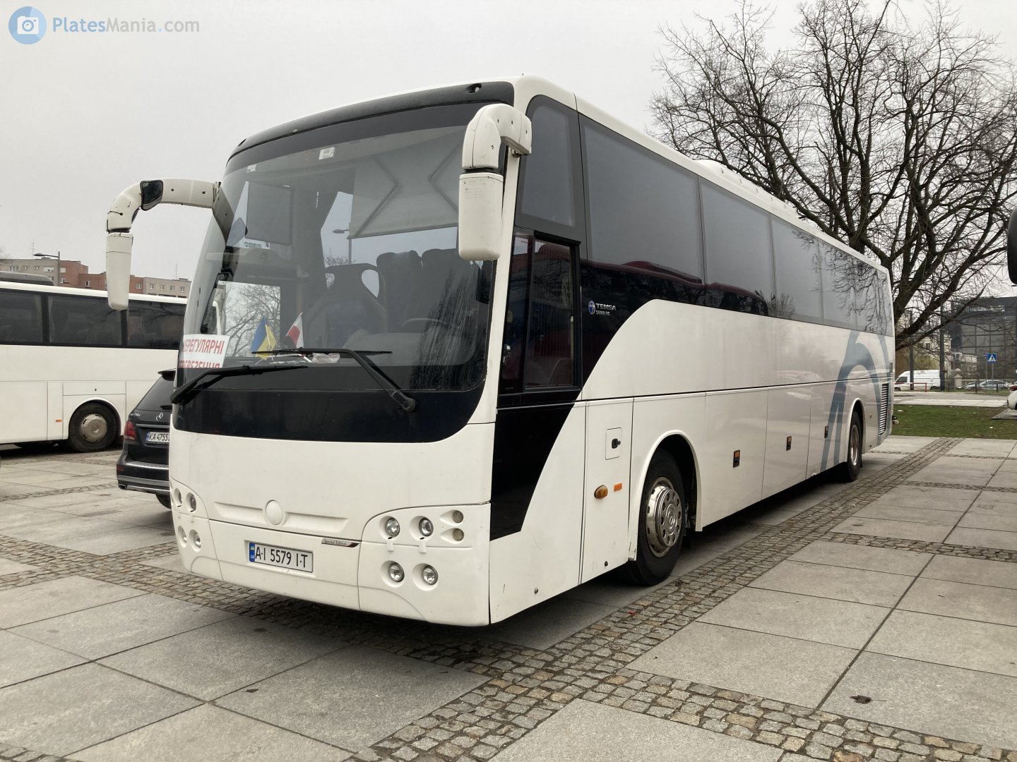 AI 5579 IT, TemSA Safari 