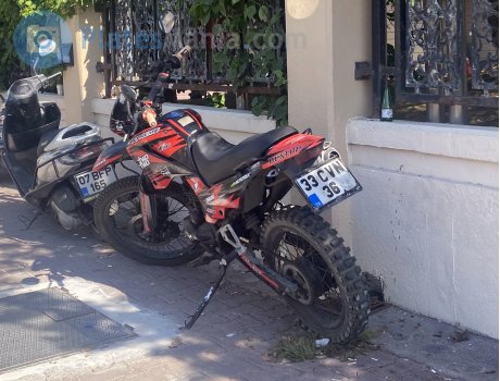 33 CVN 36, Mondial (UMA) X-Treme