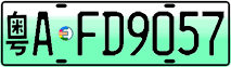 License plate of China, Electric vehicles