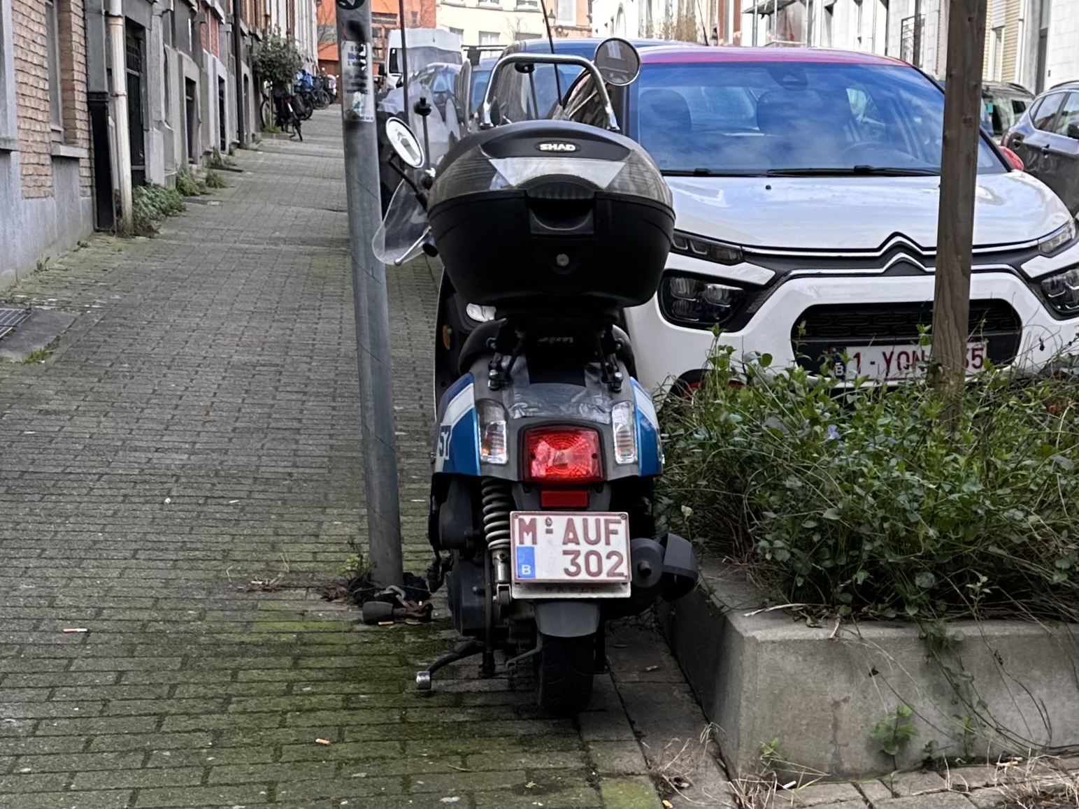 M-AUF-302, SYM Tonik 