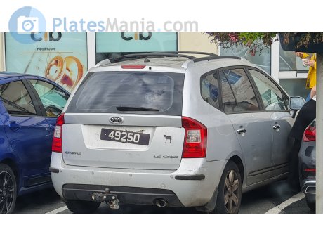 49250, Kia Carens