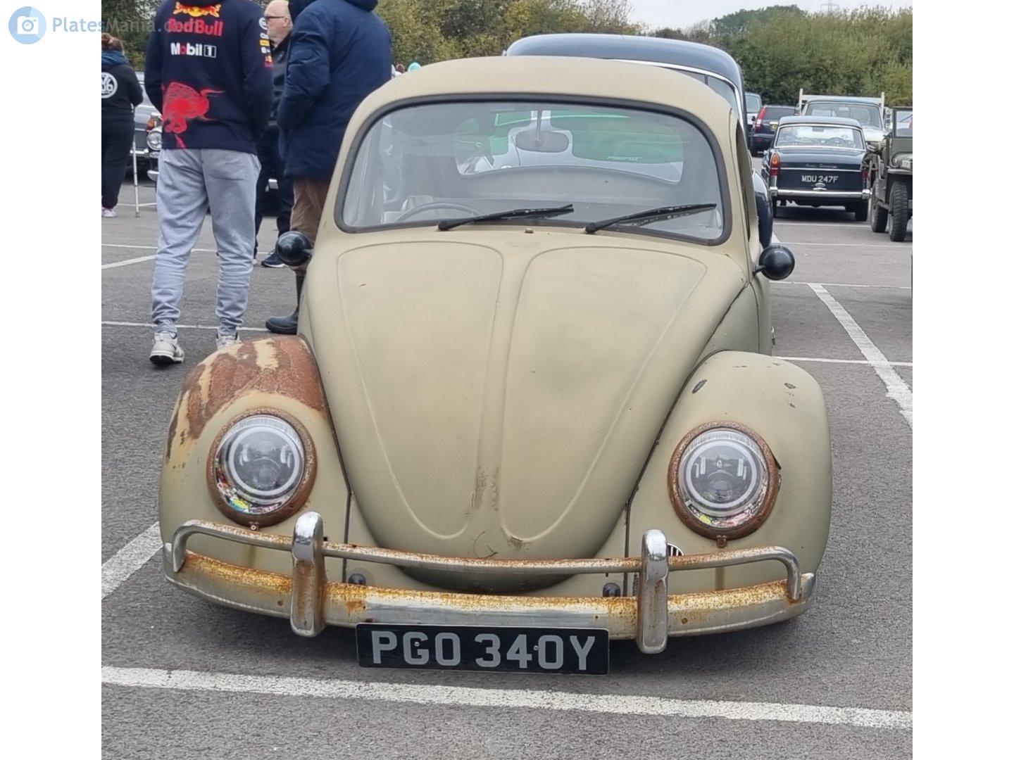 PGO340Y, Volkswagen Beetle 1st gen Sedan (Type 1), 1938­–2003