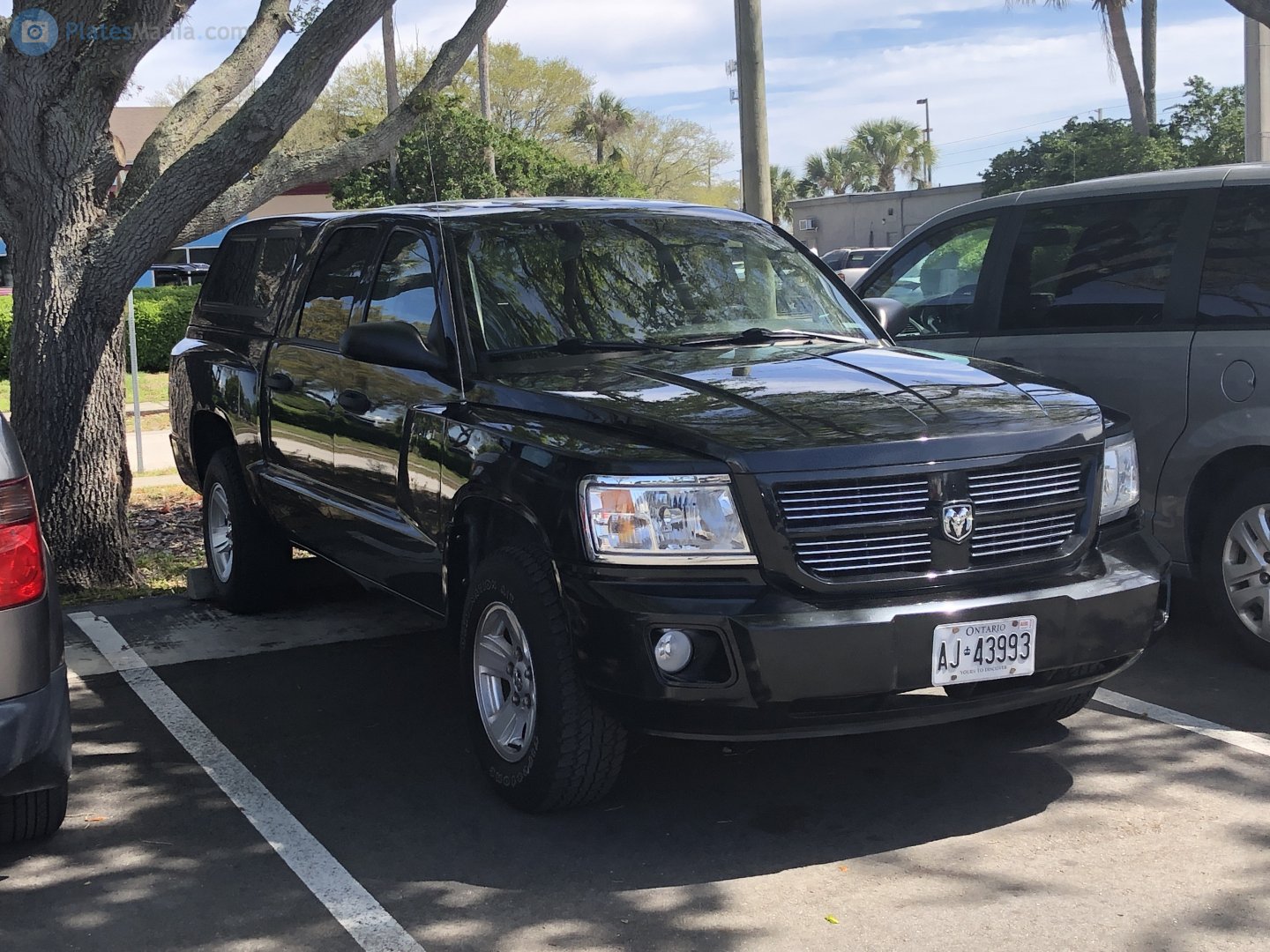 AJ-43993, Ram Dakota 