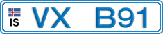 VX B91