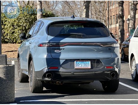 GO-STAGS, Dodge Hornet