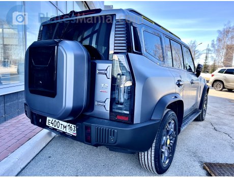 е400тм163, Jetour Traveler / T2