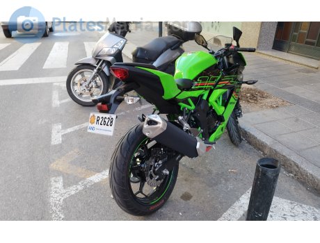 R 2628, Kawasaki Ninja 125 / Z125