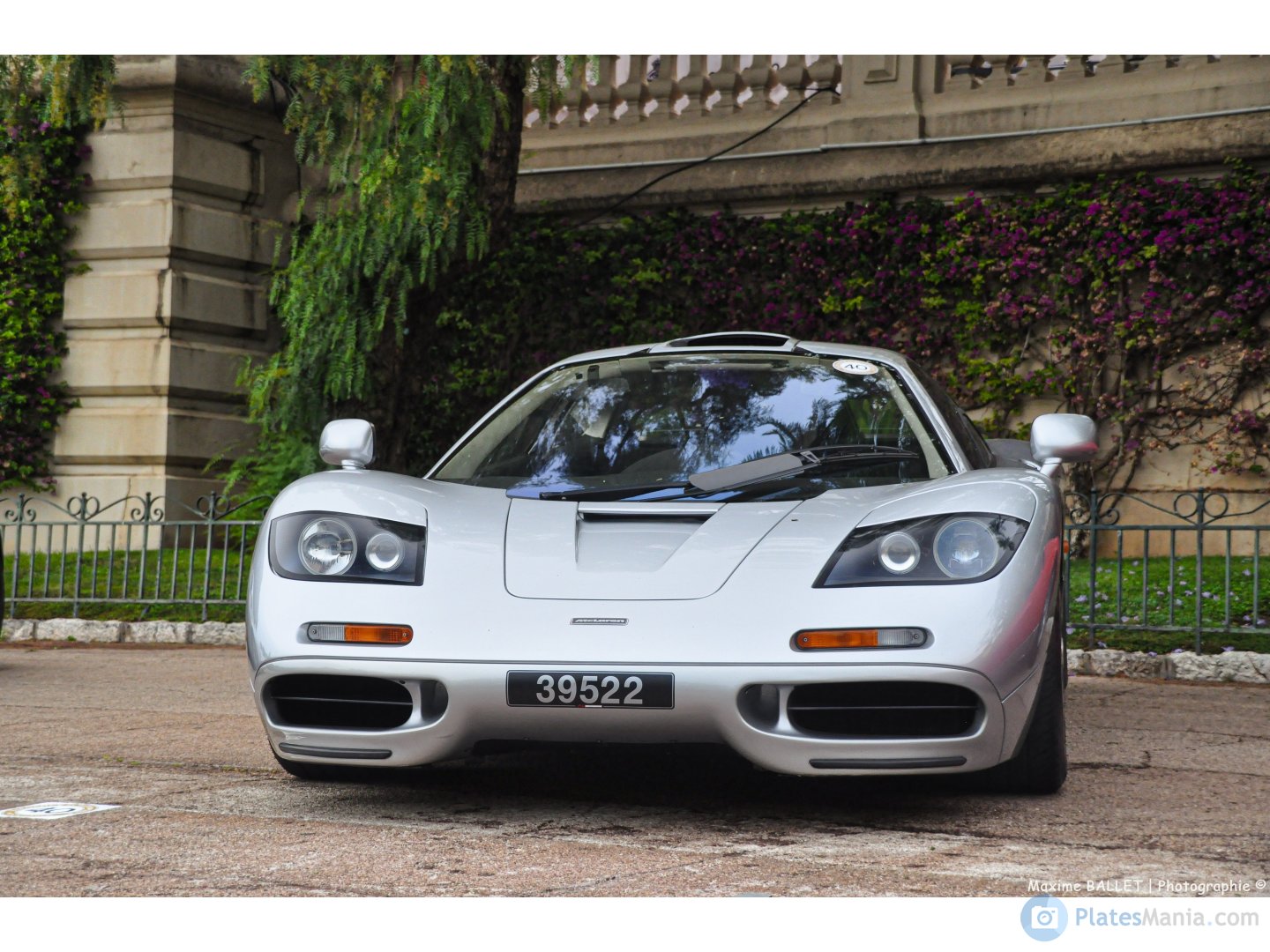 39522, McLaren F1 F1, 1993–1998