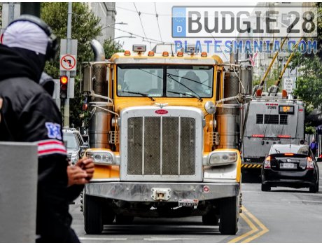 9F32315, Peterbilt 388