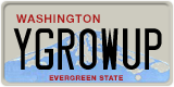 Washington, Vanity Plates