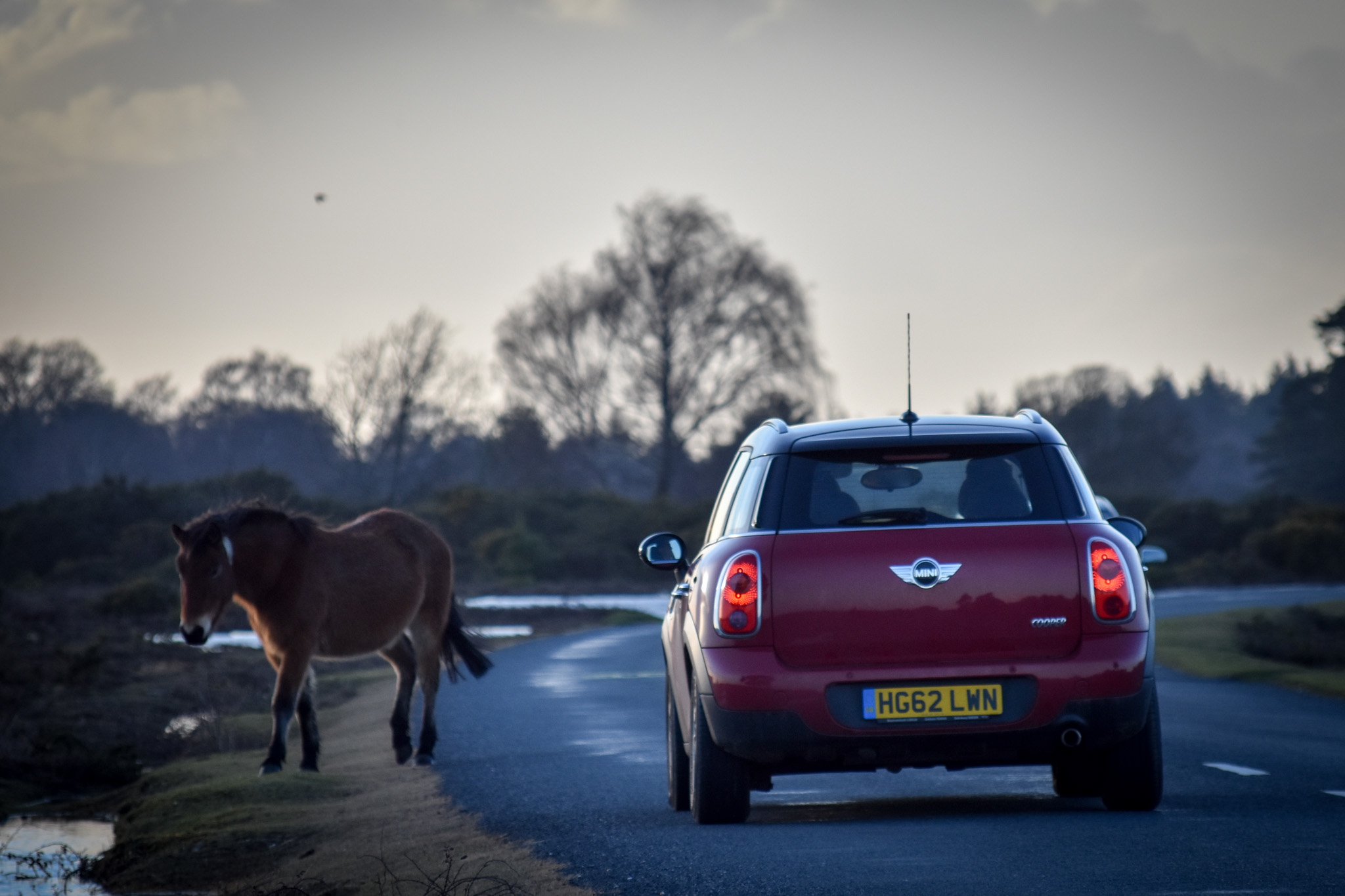 HG62LWN, MINI Countryman 1st gen (R60), 2010–2016