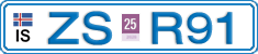 ZS R91