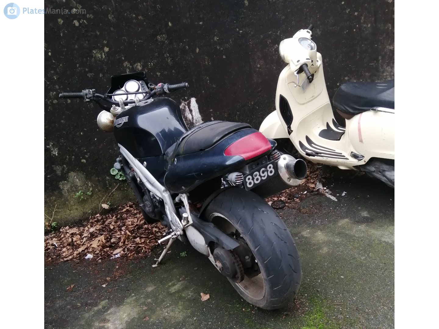 8898, Triumph Motorcycles Speed Triple 2nd gen T590/955i, 1997–2001