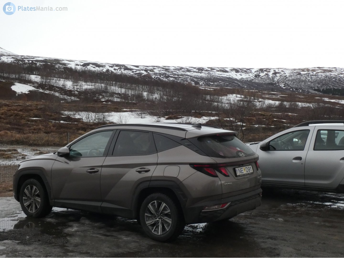 NE D91, Hyundai Tucson 4th gen (NX4), 2020–2024