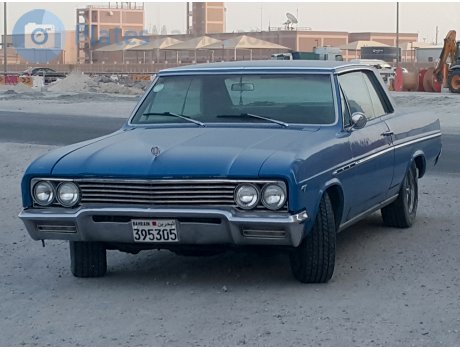 395305, Buick Skylark