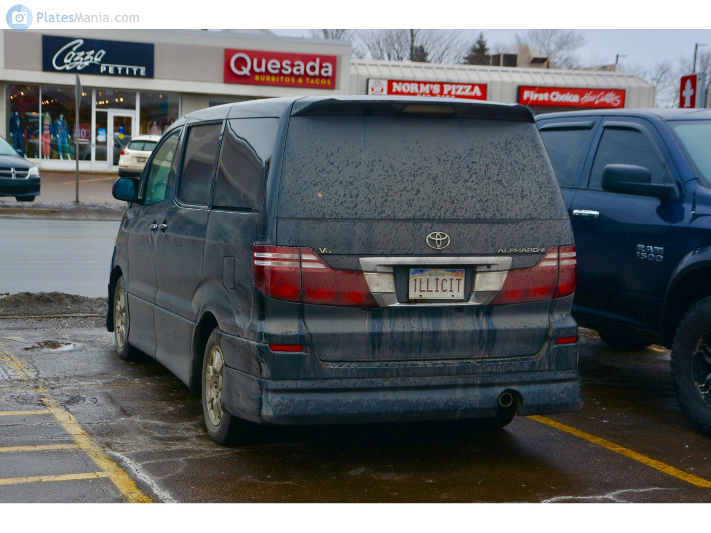 1LLICIT, Toyota Alphard 1st gen (G/V) (AH10), 2002–2008