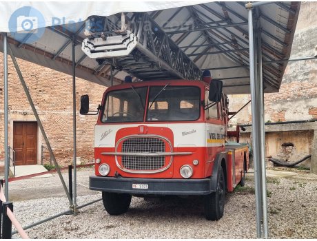 VF 9101, FIAT 600 Serie III Trucks