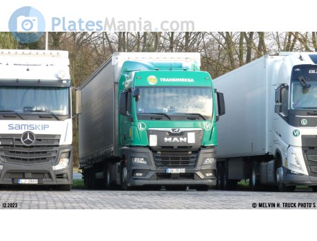 ESW TR 230, MAN TGX