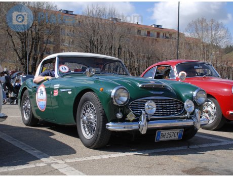 BH 257 CY, Austin-Healey 100/3000