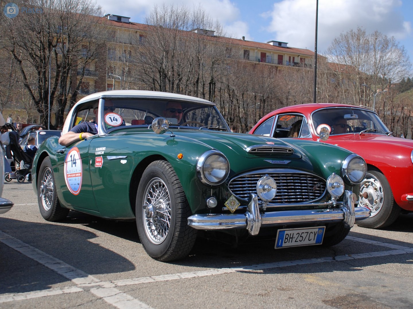 BH 257 CY, Austin-Healey 100/3000 