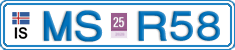 MS R58