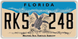 Florida, Specialty plates (XXX XXX)