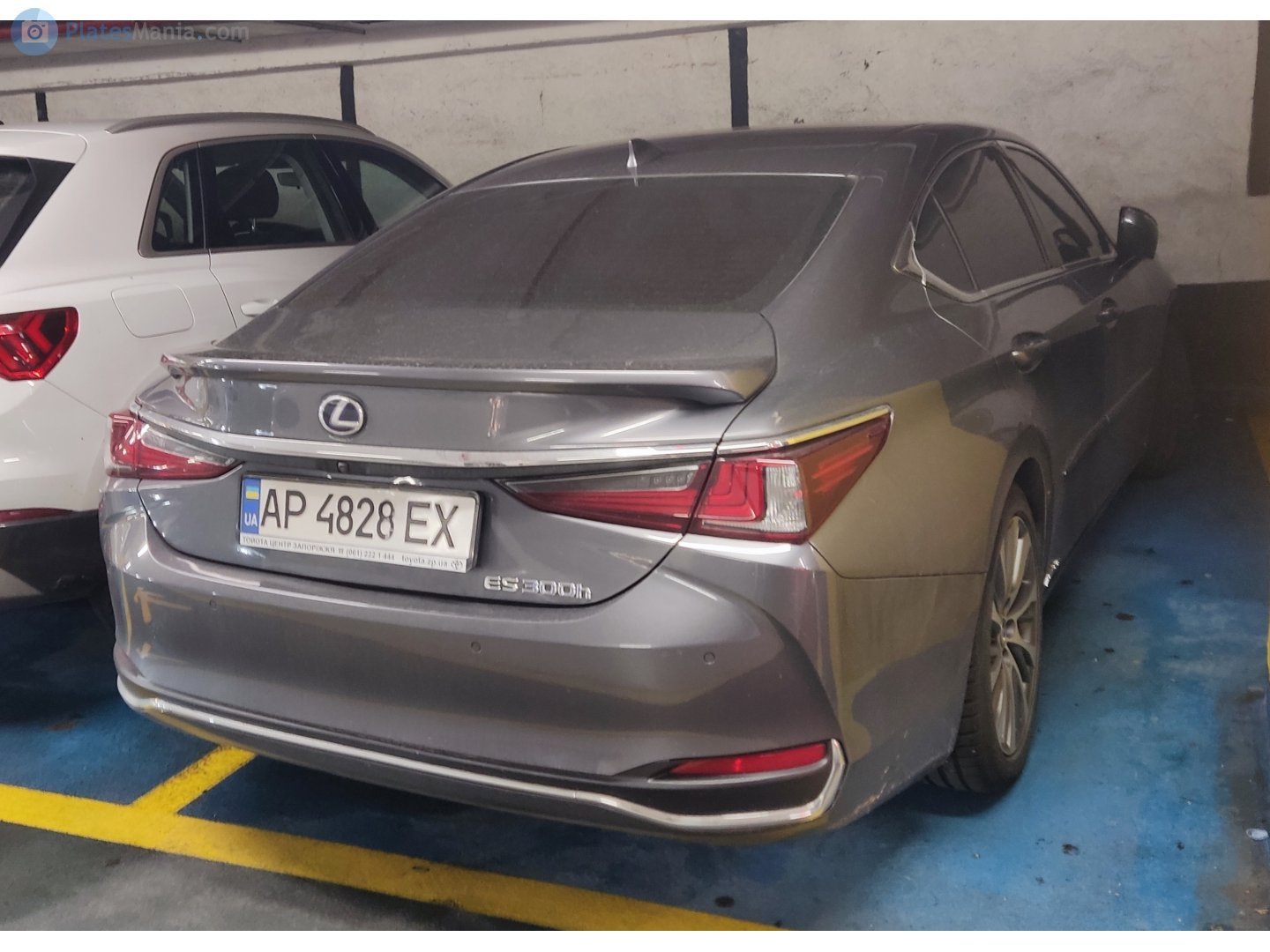 AP 4828 EX, Lexus ES 7th gen (XZ10), 2018–