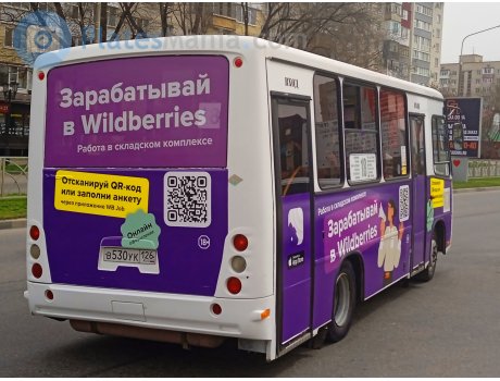 в530ук126, PAZ 3203/3204