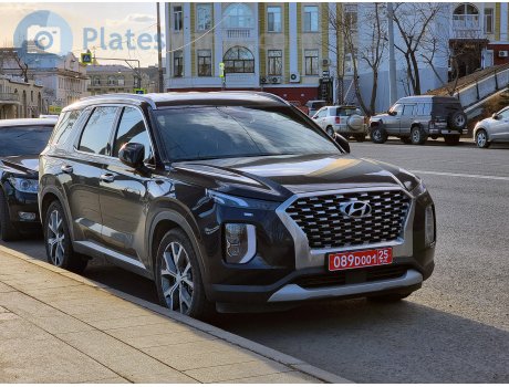 089D 001 25, Hyundai Palisade