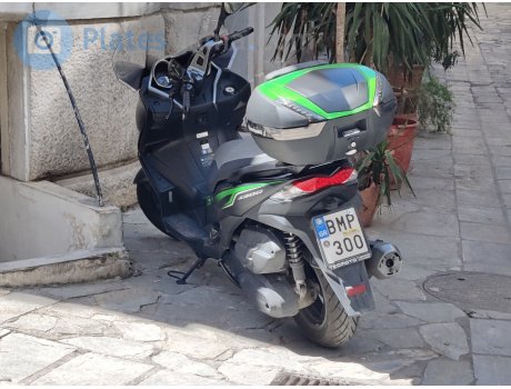 BMP-300, Kawasaki J300