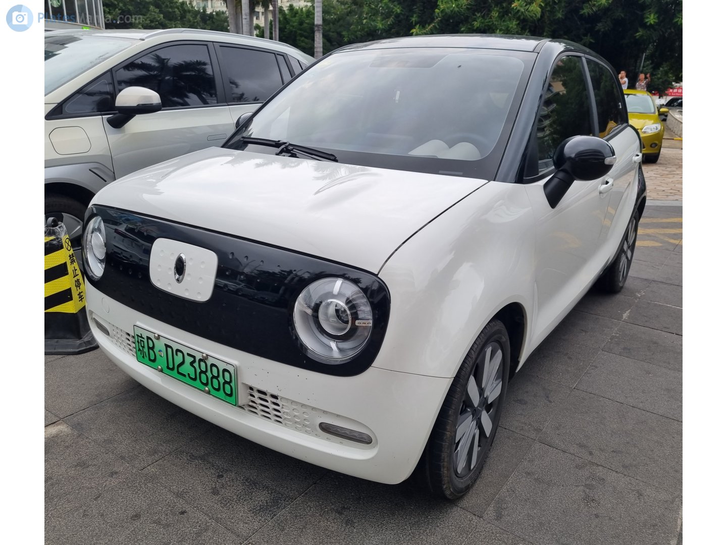 琼B·D23888, Ora (Oula) Heimao (R1) 1st gen, 2019–2022