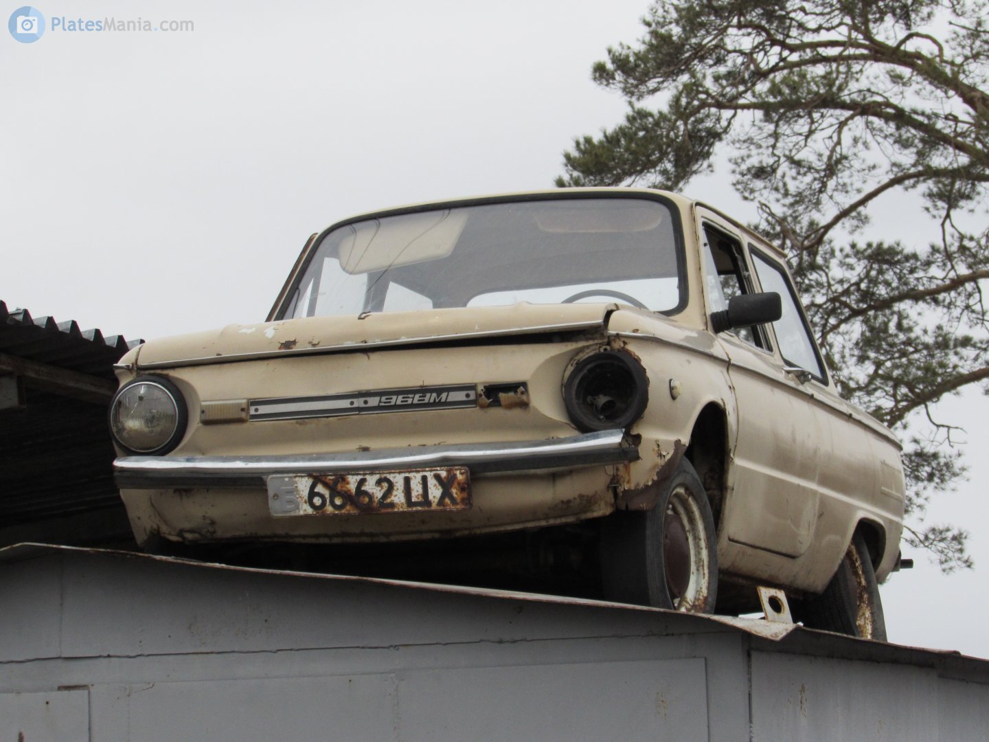 б 6662 ЦХ, ZAZ 966/968 968М, 1979–1994