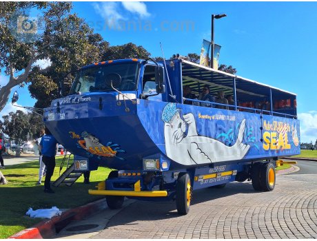 12207L3, International MV Series