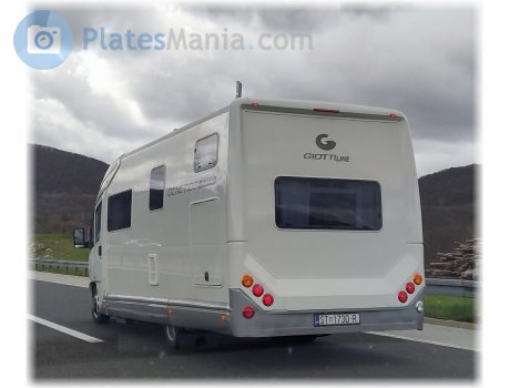 ST 1730-R, GiottiLine Genetics