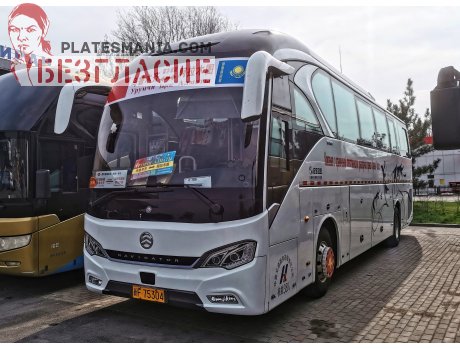 新F·75304, Golden Dragon XML6129