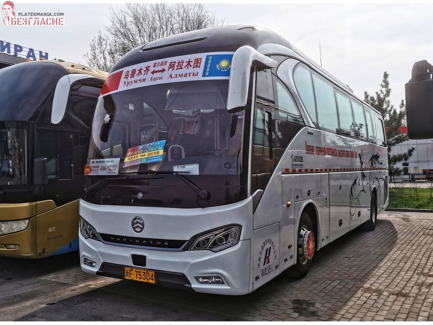 新F·75304, Golden Dragon XML6129 