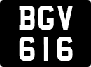 BGV616