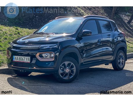 AA 8067 YA, DongFeng Fengshen EX1