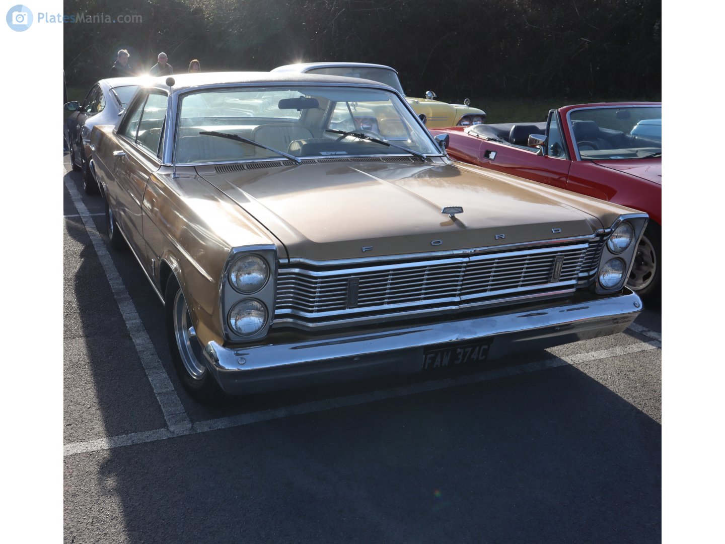 FAW374C, Ford Galaxie 3rd gen 1965 2-door Hardtop (63), 1964–1965