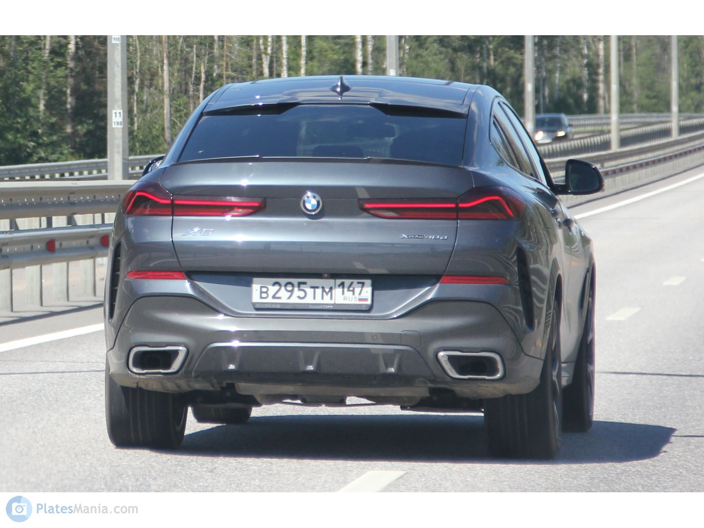 в 295 тм 147, BMW X6 3rd gen (G06), 2019–