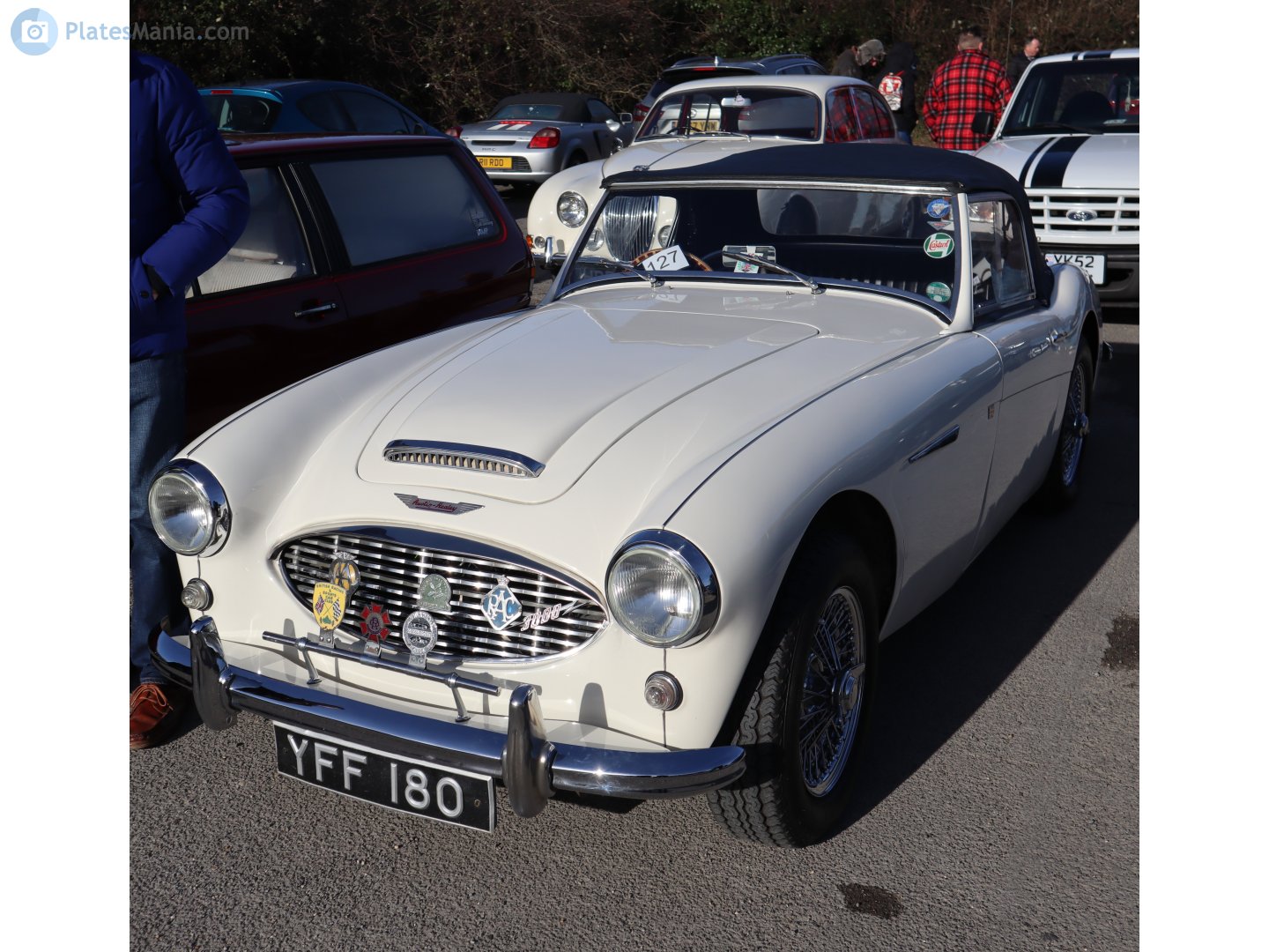 YFF180, Austin-Healey 100/3000 