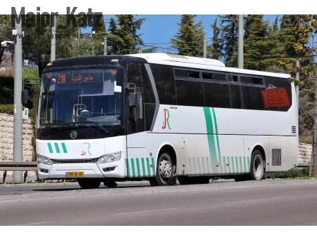 305-02-402, Golden Dragon XML6121