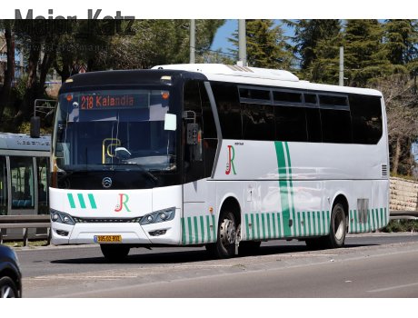 305-02-902, Golden Dragon XML6121