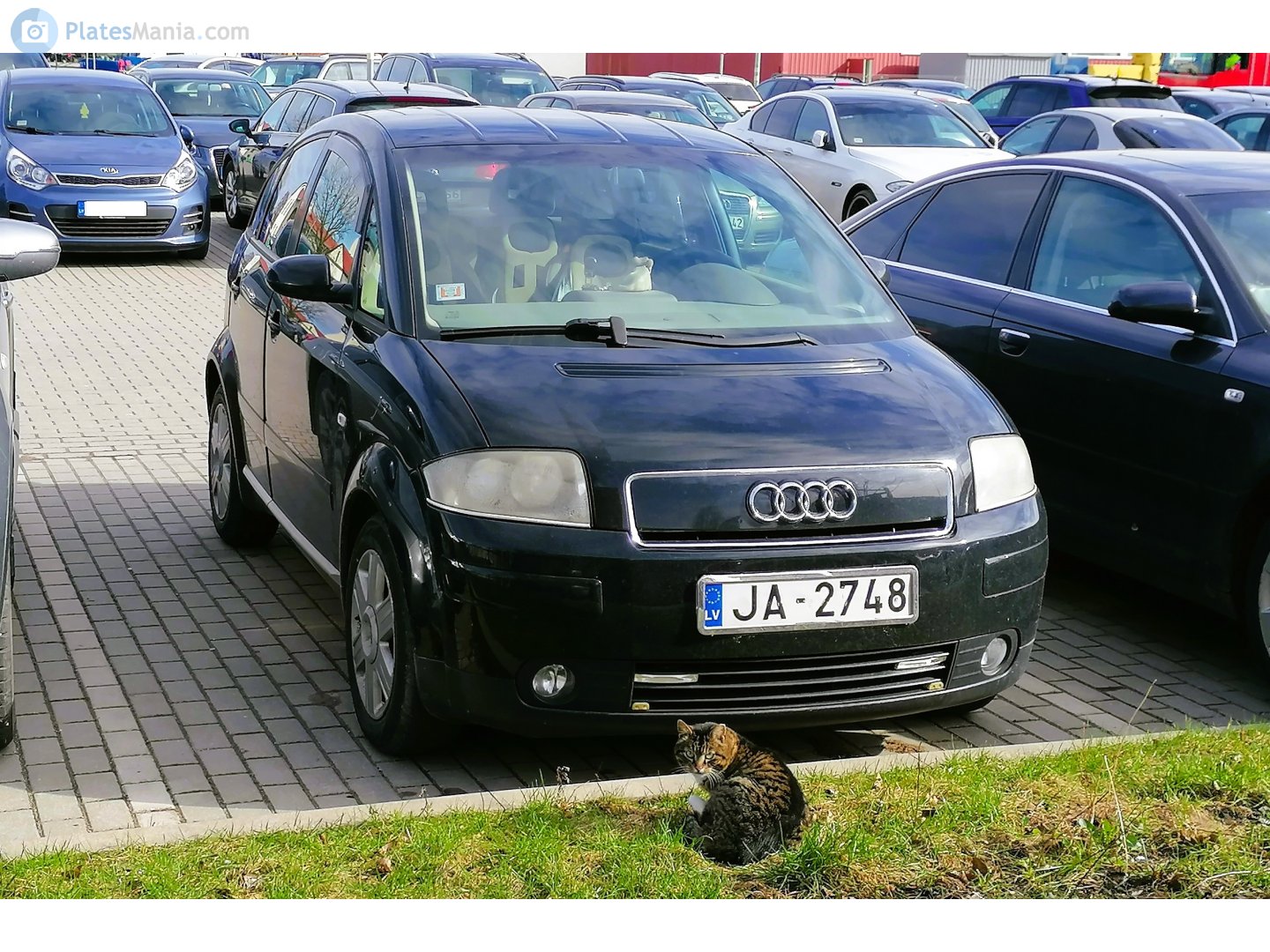 JA-2748, Audi A2 1st gen (8Z0), 1999–2005