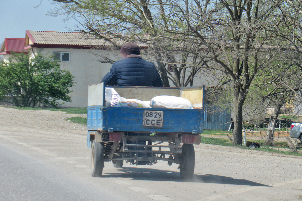 0829 ССЕ, TMZ Муравей 