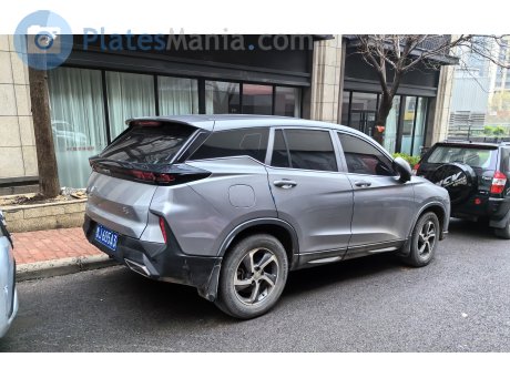 鲁J·605A3, Haima 8S