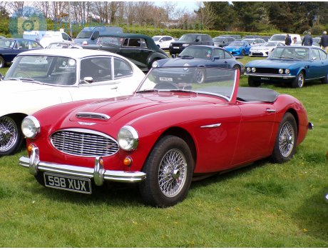 598 XUX, Austin-Healey 100/3000