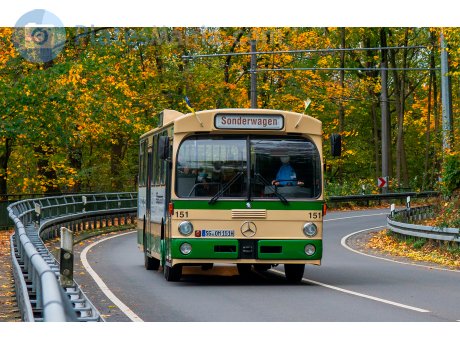 SG OM 151H, Mercedes-Benz O305